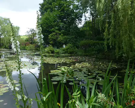 P1220169 Reflets