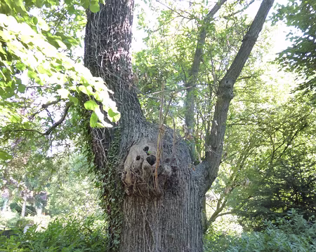 P1050097 La Châtaigneraie, Montmorency