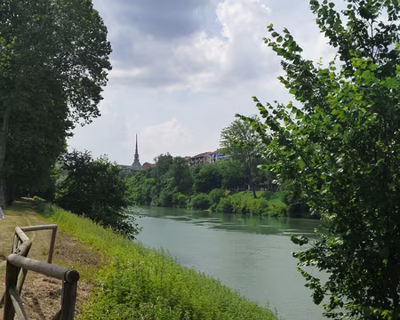 P1040882 La flèche de la Mole