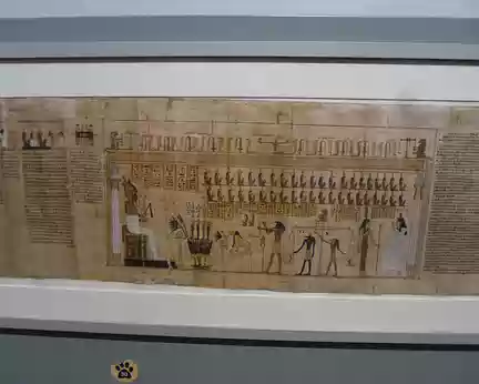 P1040912 Papyrus, Livre des Morts