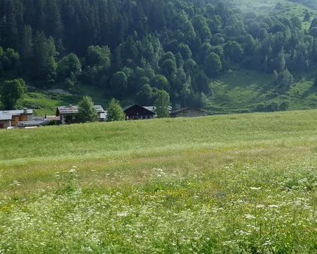 P1220408 Une pensée pour Myrtille