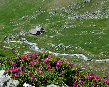 P1220449 Les petites maisons dans la prairie