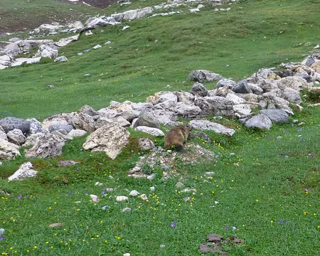 P1220515 Le plan de la Grassaz, rebaptisé 