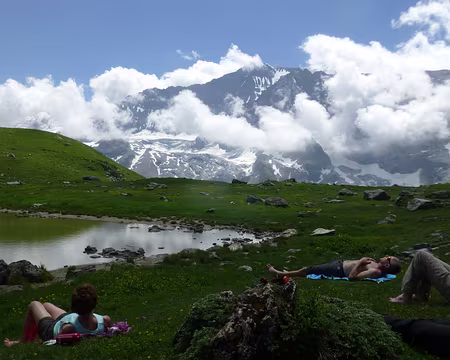 P1220593 Une activité intense