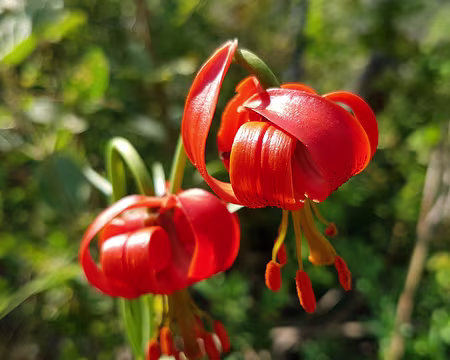 20170617_162810z2117