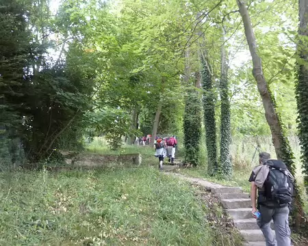 P1050461