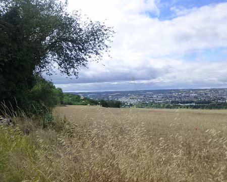 P1050465 Mantes-la-Jolie