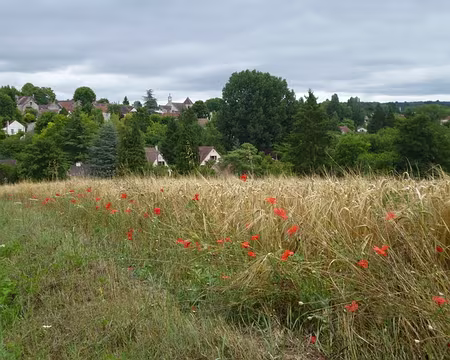 P1050473 Fontenay-Saint-Père