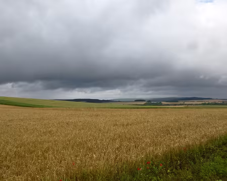 P1050483 Vexin français