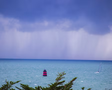 26-IMG_6855z2119 Gros grain !!!