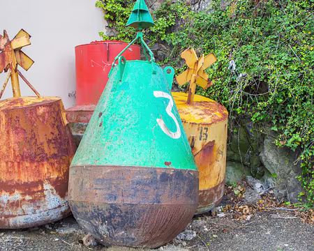 49-IMG_6886 Au rebut...