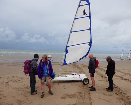 P7221587 Bête curieuse