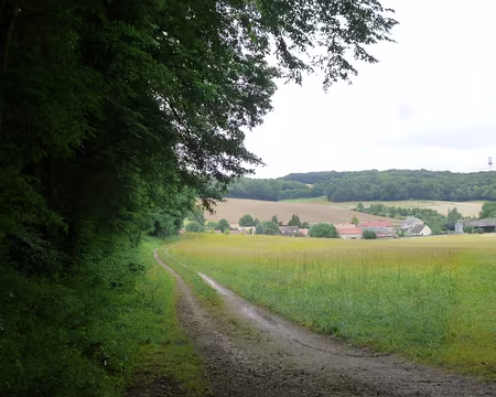 P1050352 Fourchainville