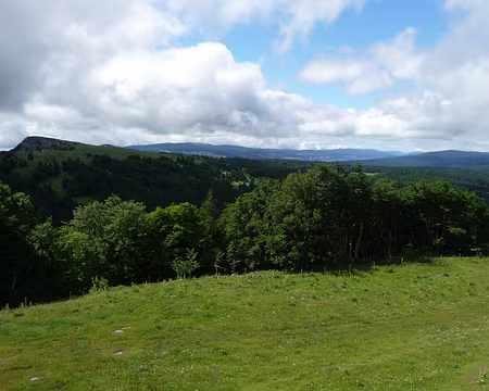 P1070914 Au loin le Mont d'Or 1461 m