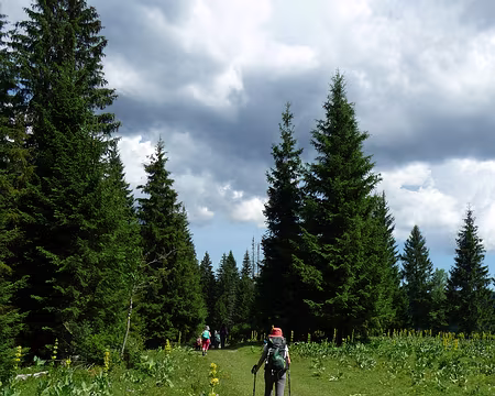 P1070946 Combe David, près de Chapelle des Bois