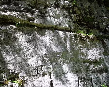 P1070963 Le livre d'Or du Risoux