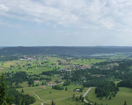 P1070983 forêt du Massacre ; belvédère des Dappes 1400 m