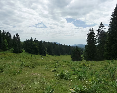 P1070990 la Combe à la Chèvre