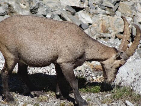 Joël Joël R, détail sortie