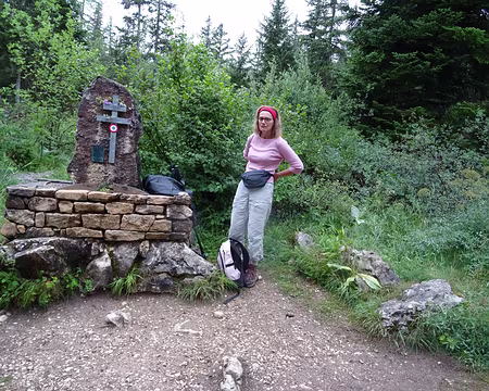 19 hommage au maquis du Vercors