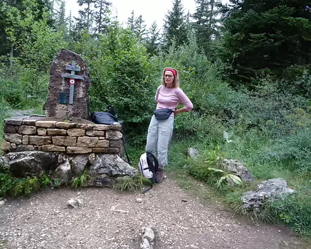 19 hommage au maquis du Vercors