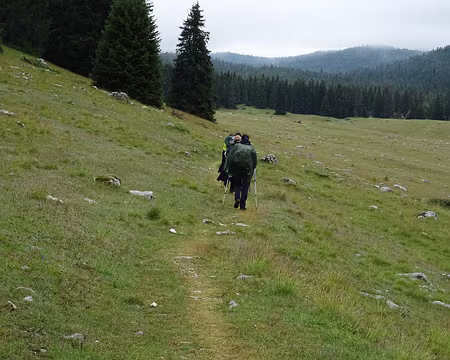 24 prairie de Darbounouse