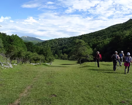 74 clairière de Pierre Blanc