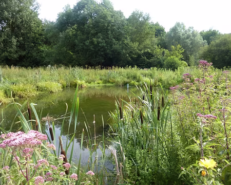 P1050491 Vallée de la Viosne