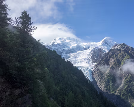 12082017-13h30m46s-DSC05008-XL