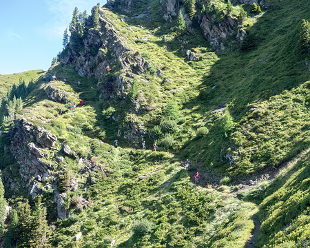 12082017-14h26m32s-DSC05023-XL