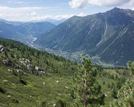 13082017-17h45m26s-DSC05189-XL