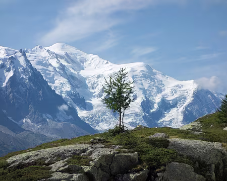 14082017-14h16m02s-DSC05239-XL