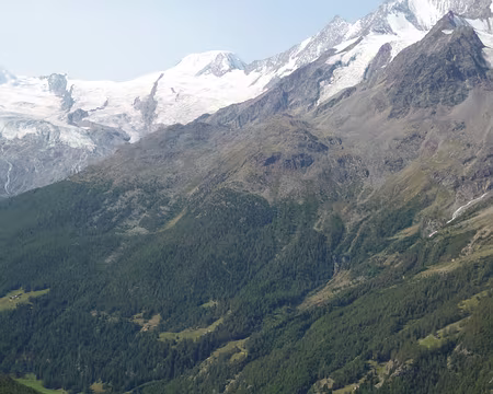 P1050719 Joli panorama pour les cochons roses !