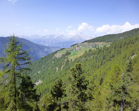 P1050740 Gspon (1850 m)