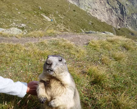 P1050751 J'aime bien les papouilles !