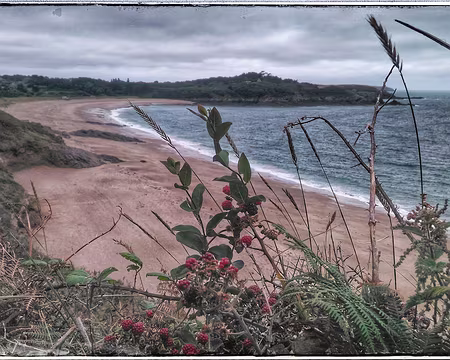St Malo (22) Plage du verger