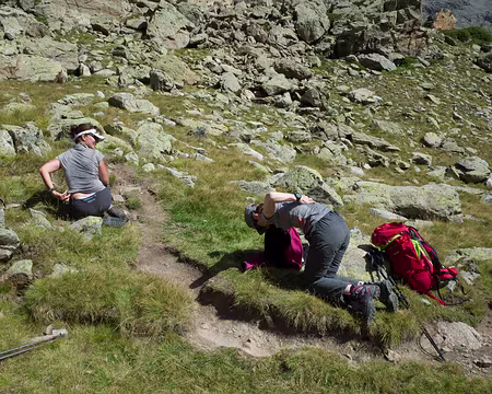 2017_08_27_11-20-09 Devinette : que font-elles ?