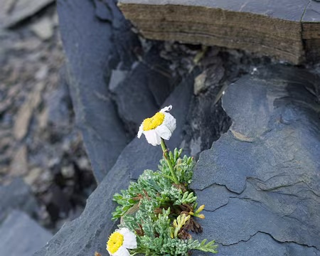 2017_09_01_10-20-28 Au col de la Muzelle