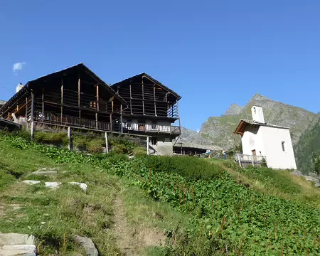 P1240224 Alpenzu