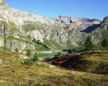 DSCF0409 Mardi 22/08 De Barmasse au refuge Cuney