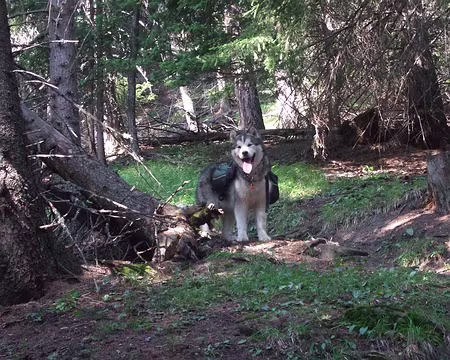 DSCF0488 Vendredi 25/08 De Ollomont à St Rhémy