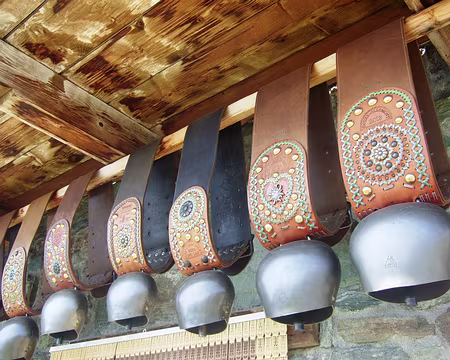 DSCF0494 Cloches à la ferme de La Chaz de Champillon