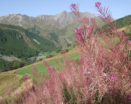 DSCF0507 Samedi 26/08 De St Rhémy au refuge Bonatti.