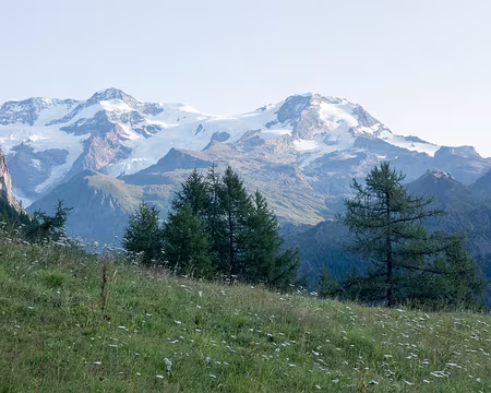 20082017-11h35m07s-DSC05310-XLXXX