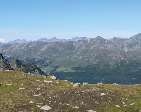 20082017-14h34m54s-DSC05321-XL