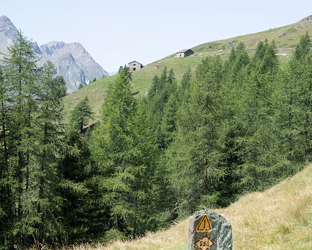 20082017-17h21m07s-DSC05327-XL