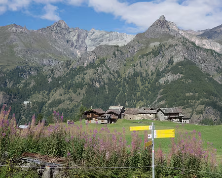 21082017-14h53m08s-DSC05342-XL