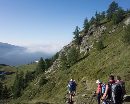 22082017-12h07m09s-DSC05353-XL