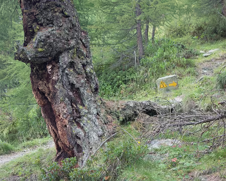 22082017-12h58m50s-DSC05360-XL