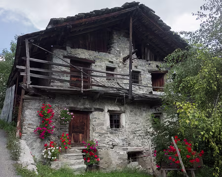 23082017-19h21m27s-DSC05389-XL